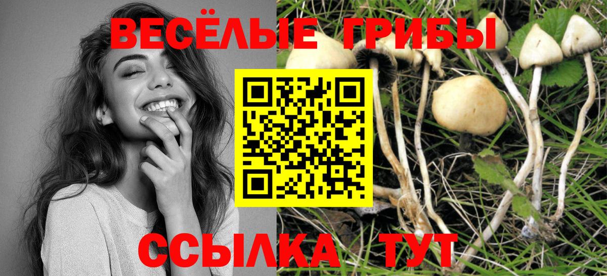 Галлюциногенные грибы MAGIC MUSHROOMS  Галлюциногенные грибы MAGIC MUSHROOMS  Вход с VPN  купить   Ленинск-Кузнецкий 